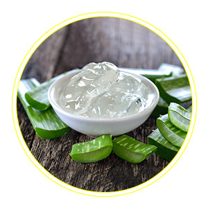 Aloe Vera – Rejuvenates and moisturizes skin