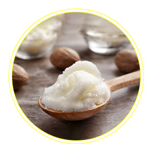 Shea Butter – Repairs damaged skin 