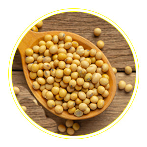 Soya Protein- Improves your skin texture