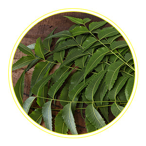 Neem – Gently cleanses the skin 