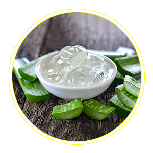 Aloe Vera- Increases skin elasticity  