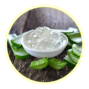 Aloe Vera – Moisturizes to heal damaged skin 